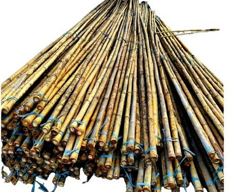 Quality African Bamboo